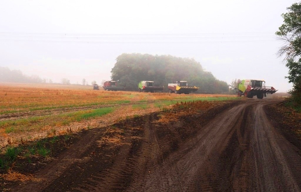 В хозяйствах агрохолдинга «Бизон» завершили уборку подсолнечника